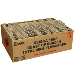 Beast Of Burden 250s 2-delige compoundbox